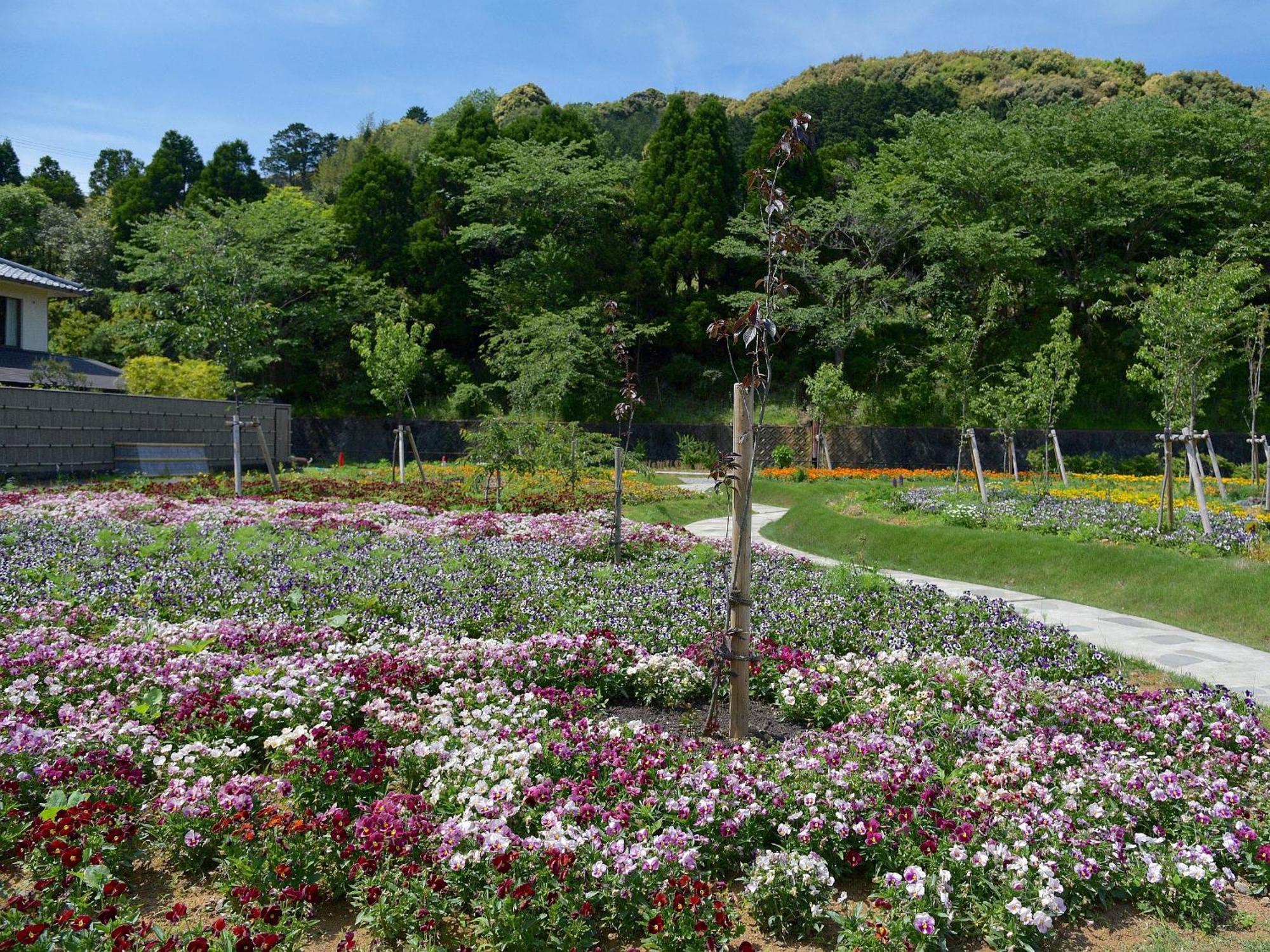 Shimoda Central Hotel Eksteriør bilde